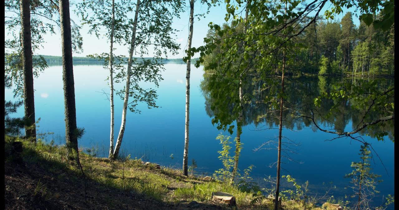 Hotel Kruunupuisto Пункахарью Экстерьер фото